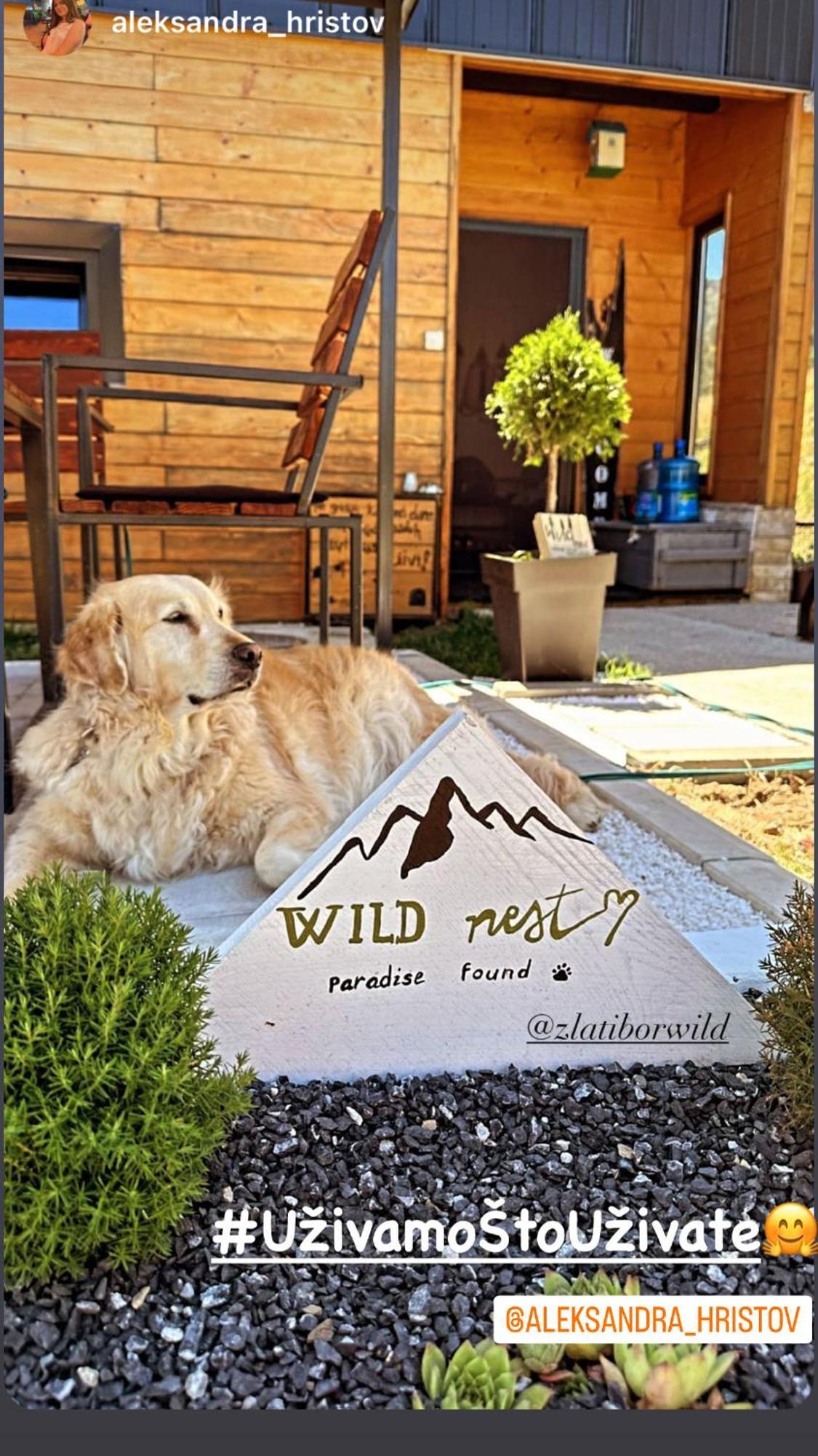Wild Nest Zlatibor Bear Villa Kültér fotó